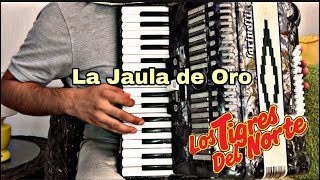 La jaula de Oro - tigres del norte/Tutorial para acordeón de teclas