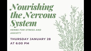 Nourishing the Nervous System: Herbs for Stress and Anxiety