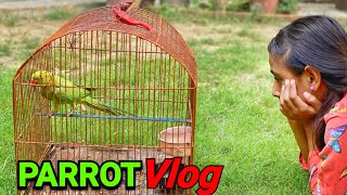 Vlogging With Parrot By Arfah Rizwan|Parrot Vlog By Young Girl 2020