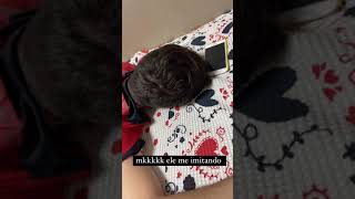 meu namorada me imitando 😂🤣🤣 #viral #shortsviral #viralshorts #reelsviral #shorts #shots