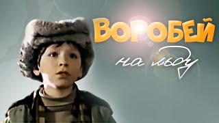 Воробей на льду (1983)