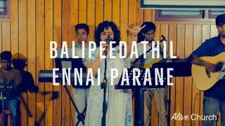 Balipeedathil Ennai  Parane | LIVE | Shekhinah| Alive Church | 24 November 2019