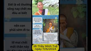 LỜI trần tình của Thấy Minh Tuệ  11 6 2024  #shortsvideo #minhtue  #thichminhtue