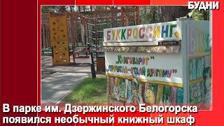 В парке имени Дзержинского появился шкаф для букроссинга