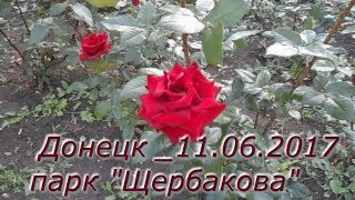 Донецк _11.06.2017  парк "Щербакова"