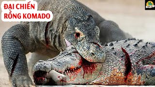 🌍Rùng Mình Với Màn Kết Liễu Con Mồi Tàn Độc Của Rồng Komodo