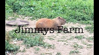 Trip to Jimmys Farm!