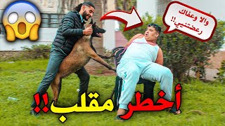 مقلب في صديقي بوبيز ربطتو جبت أخطر كلب😱😭 وعضو اكبر غلط درت في حياتي 🥲