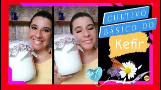 BIA ENSINA O CULTIVO BÁSICO E COMO DESSORAR O KEFIR DE LEITE / Melhor com saúde Kefir