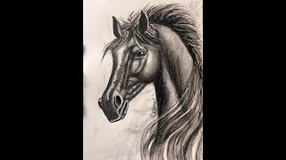 COMO DIBUJAR CABEZA DE UN CABALLO CON CARBONCILLO