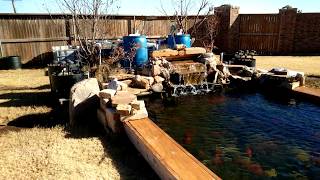 Winterized Your Koi Pond