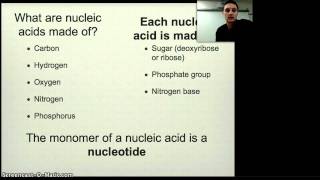 Nucleic Acid Notes