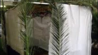 Getting ready for Sukkot. By Rabbi Zushe Silberstein