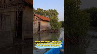 bikin merinding, rumah di tengah hutan mangrove di pulau hantu sigempol #ghost #shorts