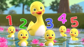 Number Song | Five Little Duckies + More Baby Songs | Beep Beep Nursery Rhymes