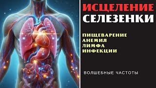 Исцеление селезенки Исцеляющая музыка с альфа волнами для здоровья селезенки