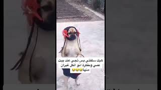 🐕🤣🤣🙈#اضحك من قلبك