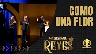 Como una Flor - Los Hermanos Reyes / Desde Auditorium Shalem