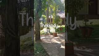 Lux Cottage Stay @ Thekkady