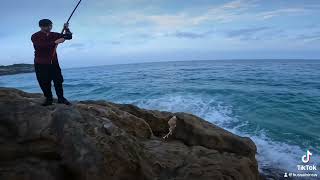 I love Fishing  #youtube #viral #viralvideos #nsw #fishing #india #indonesia