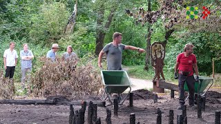 Brabanders voor Natuur | Red de wereldboom van het Wasven