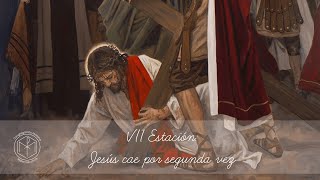 VII estación - Jesús cae por segunda vez - Vía Crucis CongreCcs