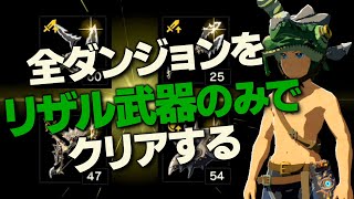 オールダンジョン装備縛り攻略解説『リザルフォス編』【ゼルダの伝説 ブレス オブ ザ ワイルド】