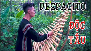 ĐỘC TẤU - DESPACITO  | BLUIS FONSI  | COVER| ĐÀN TƠ RƯNG | BẢN SẮC TÂY NGUYÊN