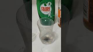 Fruit fly trap #shorts #satisfying #trap #flytrap