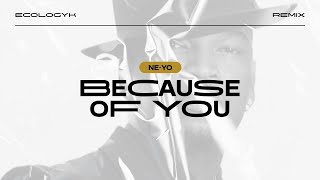 Ne-Yo - Because Of You (Ecologyk Remix)