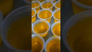 Preparo em Pó para Gelatinas Tecsabor para Sua Cozinha Industrial #gelatina #cozinha #sobremesas