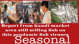 ##Dear Dy commissioner capital region@ is this right time to sell fish on this pandemic fish virus