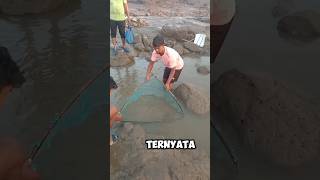 tempat sekecil itu ada ikan jumbonya #ikan #fish #fishing #pencariikan #tangkapikan