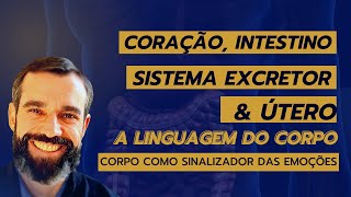 CORAÇÃO, INTESTINO, SISTEMA EXCRETOR E ÚTERO - A Linguagem do Corpo