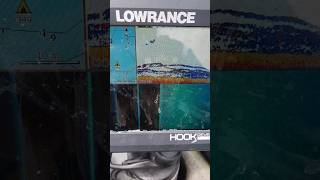 Localizei Robalo no Sonar Lowrance! #fishing #fish #robalo #lowrance