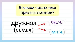 В каком числе имя прилагательное? Число имен прилагательных