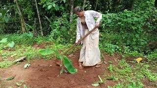 vegitable farming  പച്ചകറി ക്രി ഷി