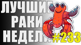 ЛРН выпуск №233 🤪 МАСТЕР ПЕРЕВОРОТА и БОТЫ-БЕРУНГИ [Лучшие Раки Недели]