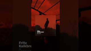 Out now: "Fritz Kalkbrenner - Into The Night" #shorts