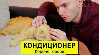 КОРОЧЕ ГОВОРЯ, КОНДИЦИОНЕР - ТимТим.