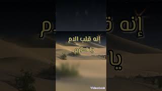 قلب الام