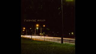 Fleeting Moment - These Days