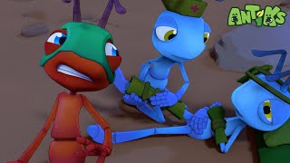 Ant Down ⛑🏳| ANTIKS |Funny Cartoons For All The Family!