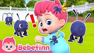 🐜 The Little Tiny Ants ㅣEP138ㅣSong for KidsㅣBebefinn Nursery Rhymes