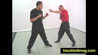 Sifu Ted Wong Jeet Kune Do