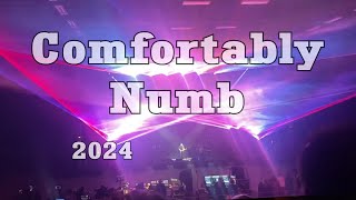 David Gilmour Live 2024 -Comfortably Numb