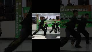 弘扬中华武术，集体太极拳表演。 Tai Chi Group performance