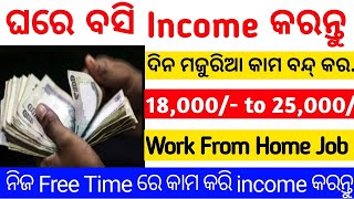 ଘରେ ବସି ରୋଜଗାର କରନ୍ତୁ💲! Work From Home Job 2024 ! Salary Upto 25,000 ! Earn Money !@odiinformer4489