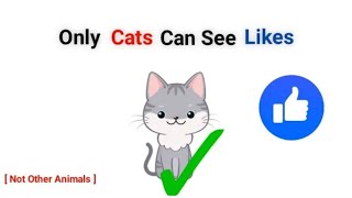 Only cats can see likes in this video (real)