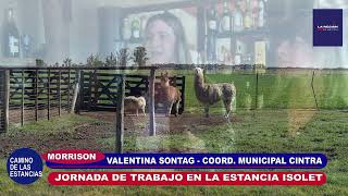 VALENTINA SONTAG   COORDINACION CINTRA   ESTANCIA ISOLET MORRISON